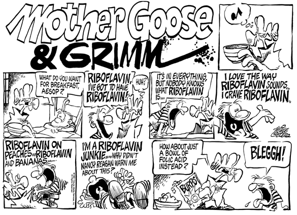 [Mother Goose & Grimm Comic]